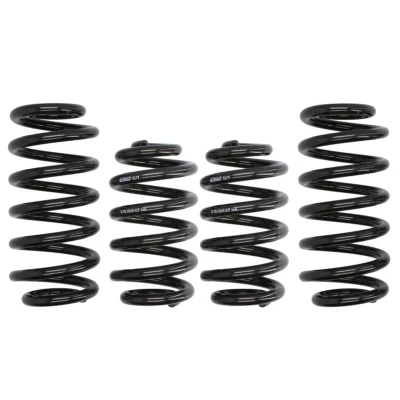 Imagem de EIBACH Pro Kit E10 15 008 08 22 de suspensão, molas AUDI: A6 C6 Avant
