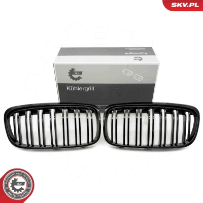 Imagem de ESEN SKV 66SKV040 Grelha de Radiador brilhante, preto