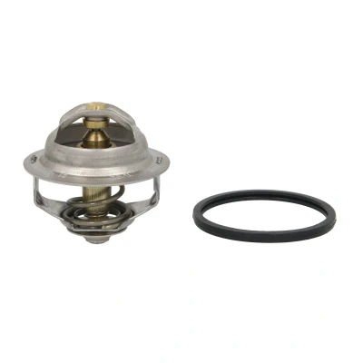 Imagem de THERMOTEC D2IV003TT Termóstato, líquido de refrigeração 81 sem caixa