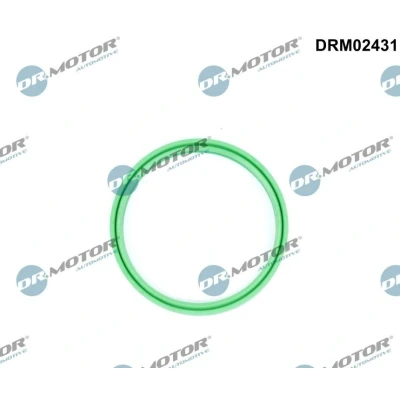 Imagem de DR.MOTOR AUTOMOTIVE DRM02431 Retentor, tubo do ar de sobrealimentação BMW: 5 Sedan, 3 Touring, Touring