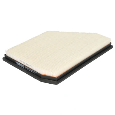 Imagem de FILTRON AP 030/8 Filtro de ar 36mm 198mm 288mm Cartucho filtrante BMW: X5, X7