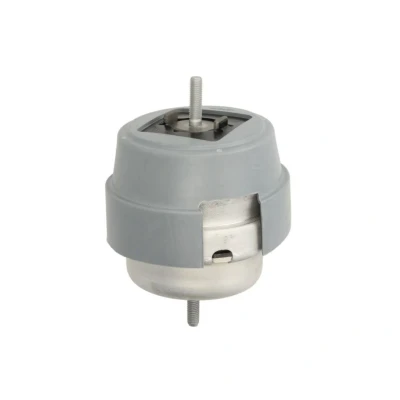 Imagem de REINHOCH RH11 0063 Suporte, motor à direita Apoio hidráulico AUDI: A4 B6 Avant, Sedan, B7 SEAT: Exeo ST, Sedan