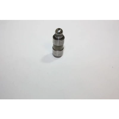 Imagem de AUTOMEGA 130045210 Came de Válvula hidráulico VOLKSWAGEN: Golf 5, 4, Passat B5 GP Sedan, SEAT: Leon I Hatchback, Alhambra I, FORD: Galaxy Mk1 MPV