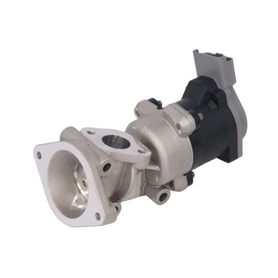 Imagem de VALEO ORIGINAL PART 700423 Válvula EGR elétrico sem radiador da recirculação dos gases de escape, juntas &#039;bypass&#039; vácuo, braçadeira