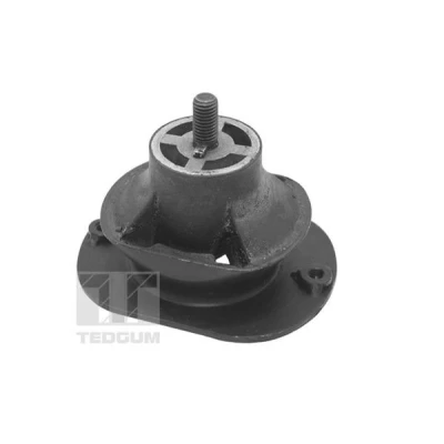 Imagem de Suporte do motor TEDGUM TED40521