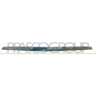 Imagem de PRASCO ME3202226 Friso, grelha do radiador