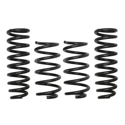 Imagem de EIBACH Pro Kit E10 55 012 02 22 de suspensão, molas