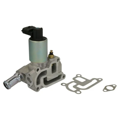 Imagem de WAHLER 710714D/1 Válvula EGR elétrico com junta OPEL: Corsa B Hatchback