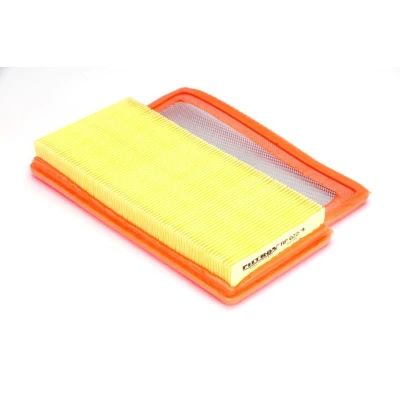 Imagem de FILTRON AP 022/4 Filtro de ar 32 170 240 Cartucho filtrante ABARTH: 500C / 595C 695C Cabrio, 500 595 695 Hatchback