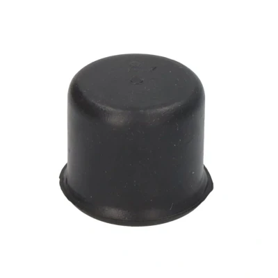 Imagem de Capa SASIC 2450160