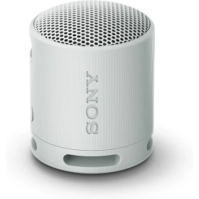 Imagem de Sony Xb100 Coluna Cinzento