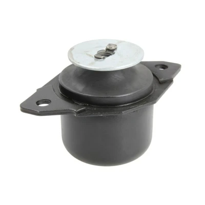 Imagem de REINHOCH RH12 0007 Suspensão, caixa de velocidades Eixo traseiro esquerdo VOLKSWAGEN: GOLF 4, Polo III Hatchback, 3