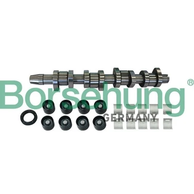 Imagem de Borsehung B11307 Jogo de árvores cames sem válvulas VOLKSWAGEN: Caddy 3