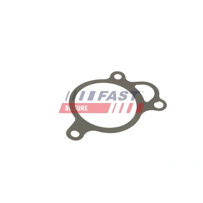 Imagem de FAST FT50619 Juntas