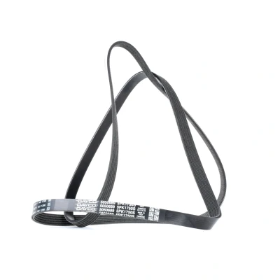 Imagem de Correia em V Poly DAYCO 5PK1750