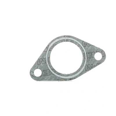 Imagem de REINZ 71 29398 10 Junta de Coletor Admissão BMW: 5 Touring, 3 Sedan, Sedan