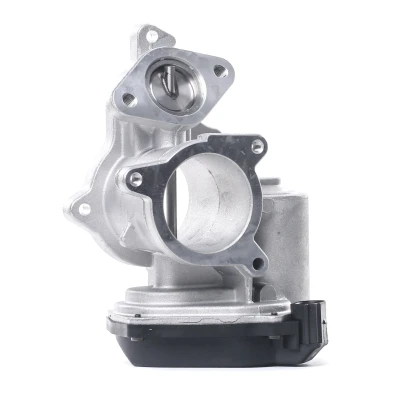 Imagem de DELPHI EG10404 12B1 Válvula EGR com juntas AUDI: A4 B7 Avant, A6 C6 Sedan, Sedan endado, norauto, oscaro, mister auto