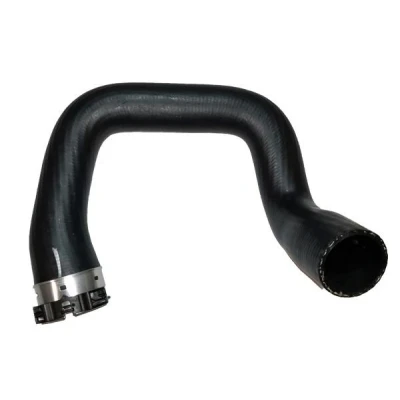 Imagem de BUGIAD 81752 Mangueira Para o Turbocompressor com braçadeira