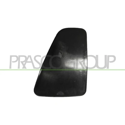Imagem de PRASCO FT0322153 Painel decorativo, luz traseira FIAT: 500 Hatchback (312) 1.3 D Multijet 2016