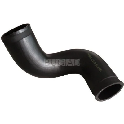 Imagem de BUGIAD 86650 Mangueira Para o Turbocompressor 58 AUDI: A4 B7 Sedan, Avant