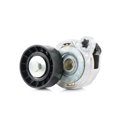 Imagem de FEBI BILSTEIN 49398 Tensor da Correia VOLVO: XC60 I