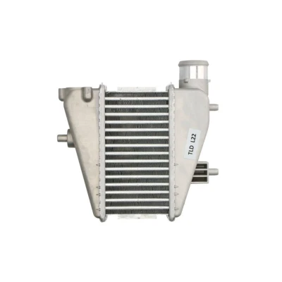 Imagem de THERMOTEC DA4001TT Intercooler