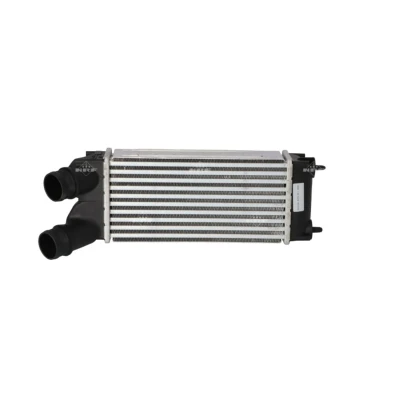 Imagem de NRF 30479 Intercooler PEUGEOT: Partner II Van