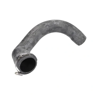 Imagem de Tubo flexível do ar de sobrealimentação HUTCHINSON 110003