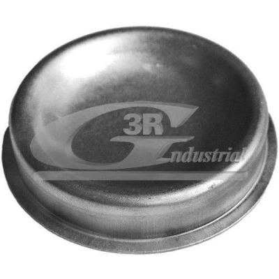 Imagem de 3RG 80226 Tampa, rolamento da roda 56 PEUGEOT: 106 II Hatchback