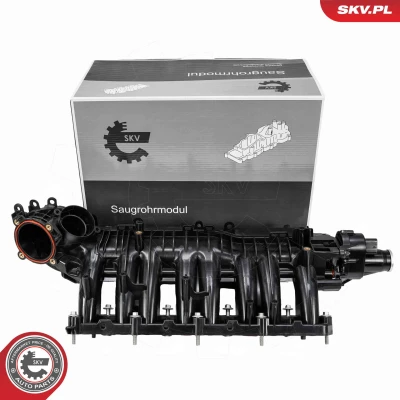 Imagem de Módulo do colector de admissão ESEN SKV 49SKV090