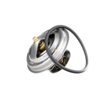 Imagem de FEBI BILSTEIN 12193 Termóstato, líquido de refrigeração 80 com retentor BMW: 5 Sedan, 3 Touring, LAND ROVER: Range Rover 2 endado, norauto,