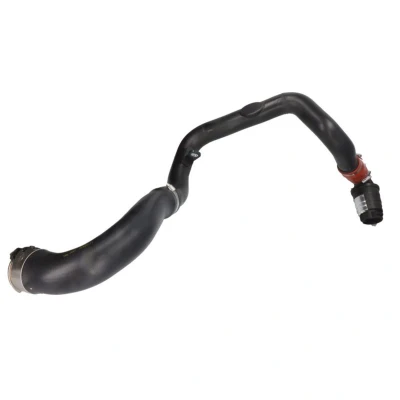 Imagem de Mangueira de ar reforço THERMOTEC DCR251TT