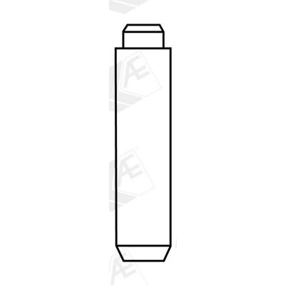 Imagem de AE VAG96095 Guia da válvula 6 Ferro fundido
