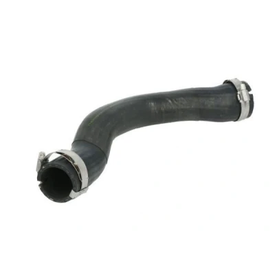 Imagem de THERMOTEC DCA020TT Mangueira Para o Turbocompressor