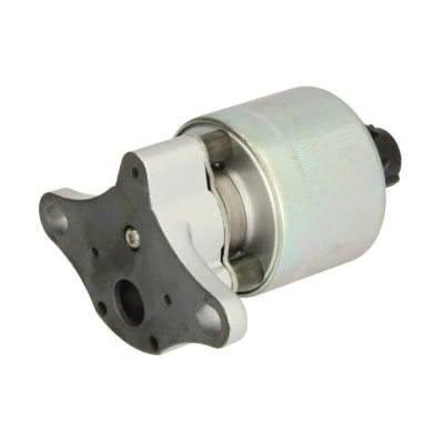 Imagem de Válvula EGR DELPHI EG10397