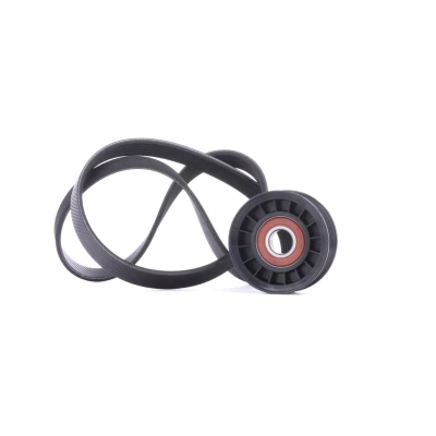 Imagem de GATES K016PK1019SF Jogo de correias trapezoidais estriadas ThermalPro FORD: FIESTA 6, 6 Van, C Max 2