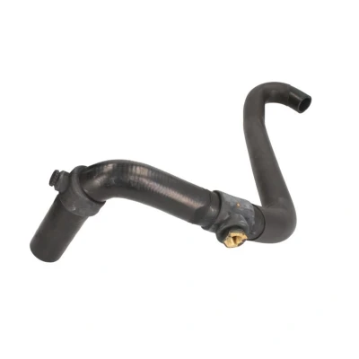 Imagem de THERMOTEC DWR160TT Mangueira de Radiador em baixo RENAULT: LAGUNA 1