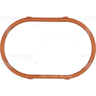 Imagem de REINZ 71 28916 00 Junta de Coletor Admissão BMW: 3 Sedan, 5 Touring
