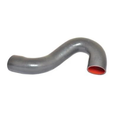 Imagem de BUGIAD 82698 Mangueira Para o Turbocompressor