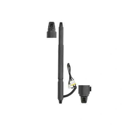 Imagem de Mola a gás, prateleira (porta bagagens/compartimento de carga) MAGNUM TECHNOLOGY MGS3125MT