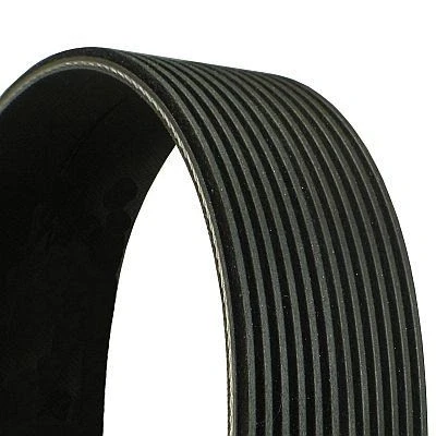 Imagem de CONTITECH 12PK1948 Correia trapezoidal estriada 1948mm 12