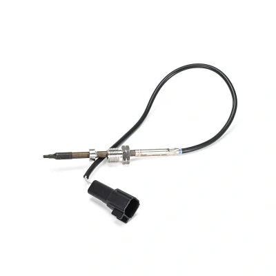 Imagem de DELPHI Sensor TS30413 12B1