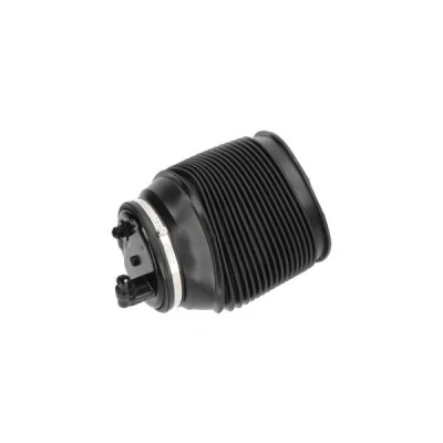 Imagem de KAVO PARTS SAS 10012 Mola pneumática, chassis Eixo traseiro direito
