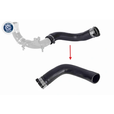 Imagem de VAICO V46 1725 Mangueira Para o Turbocompressor Q+, original equipment manufacturer quality RENAULT: Captur, Clio 4, DACIA: LOGAN MCV 2