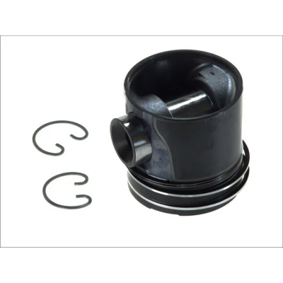 Imagem de Pistão MAHLE 229 37 00