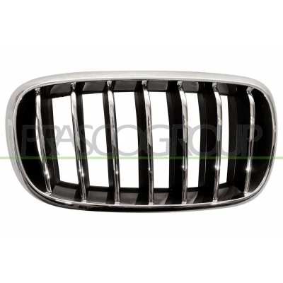 Imagem de BLIC 6502 07 00969944P Grelha de Radiador à frente, lado direito crómio, preto BMW: X5