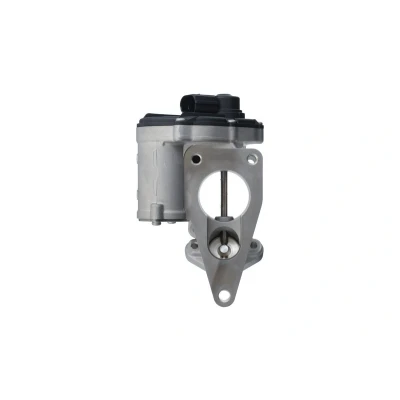 Imagem de VALEO 703249 válvula EGR elétrico sem radiador da recirculação dos gases de escape, com juntas escape