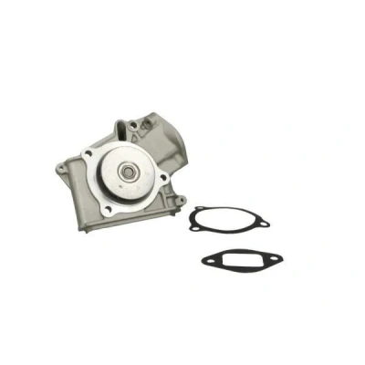 Imagem de THERMOTEC D10316TT Bomba de água com junta para accionamento da correia trapezoidal estriada