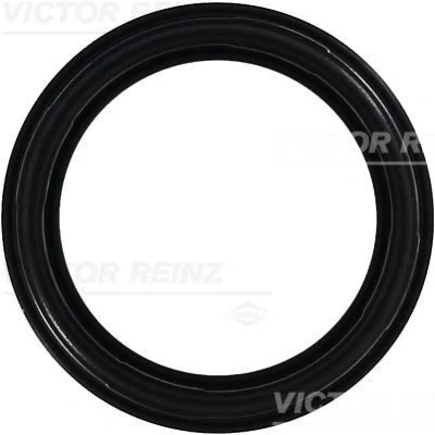 Imagem de REINZ 71 35659 00 Junta de Tapa Valvulas FIAT: Punto II Hatchback, BRAVO 1, Stilo LANCIA: Lybra Sedan, Carrinha