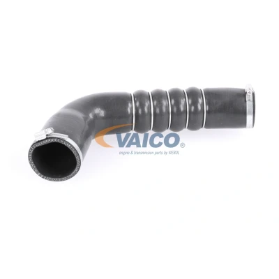 Imagem de VAICO V10 3794 Mangueira Para o Turbocompressor Borracha com entretela Original Quality
